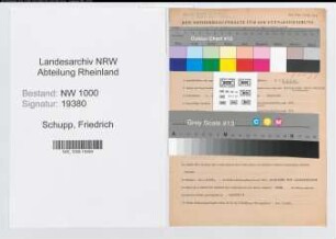 Entnazifizierung Friedrich Schupp, geb. 01.04.1908 (Kaufmann)