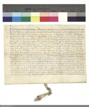 Revers Michaels von Sternberg zu Kallenberg bezüglich der Belehnung mit zwei Vorwerken in Milz und weiteren im Einzelnen aufgeführten Lehen durch Philipp [Schenck zu Schweinsberg], Abt von Fulda