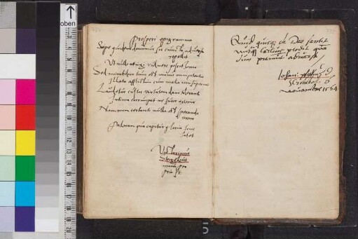 Strigel, Victorinus; Seite 734