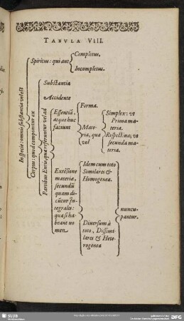 Tabula VIII.