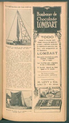 La salvación de los cidros