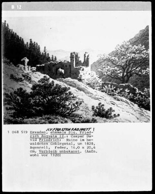 Ruine im bewaldeten Gebirgstal