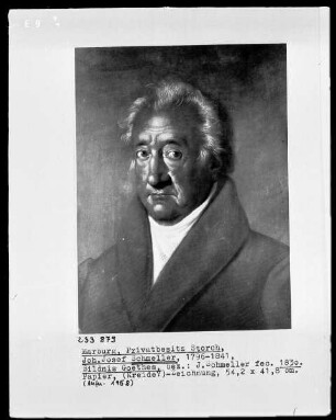 Bildnis Johann Wolfgang Goethe
