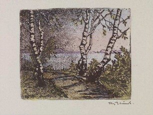 Weg am See