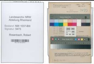 Entnazifizierung Robert Rosenbach , geb. 01.01.1889 (Stadtamtmann)