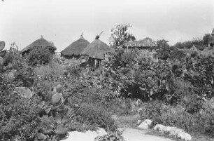 Koptenkloster Debre Bizen : Hütten des Koptenklosters Debre Bizen in einer felsigen Landschaft