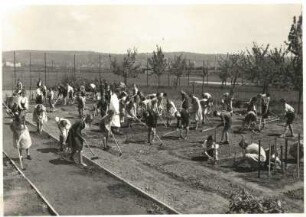 Dresden-Dobritz, Pirnaer Landstraße 53. 67. Volksschule. Unterricht im Schulgarten