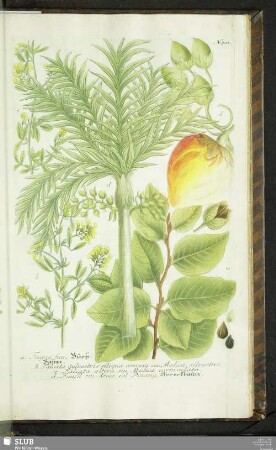 N. 501 - 525