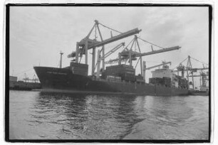 Port Said Senator