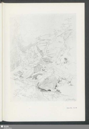 Kat.-Nr. B 69: Baumstudie (Loschwitz)