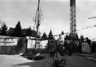 Freiburg im Breisgau: Linden-Pflanzung in Hochdorf