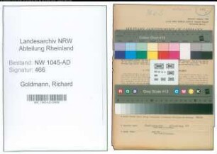 Entnazifizierung Richard Goldmann , geb. 19.11.1881 (Angestellter)