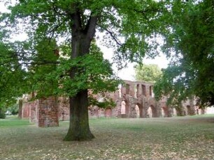 Greifswald: Klosterruine Eldena