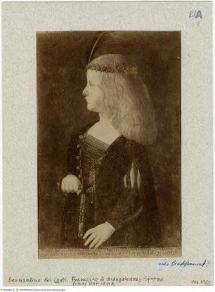 Profilbildnis des Francesco Sforza