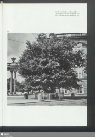 Die Bittschriftenlinde am Stadtschloß