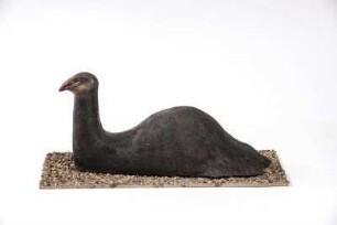 Emu