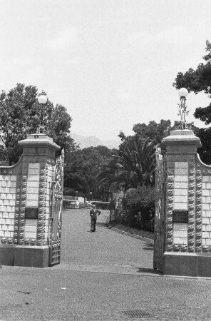 Reisefotos Madeira. Der Bordfotograf Franz Grasser hinter einer Portalanlage auf einem Spaziergang (vielleicht in einem botanischen Garten)