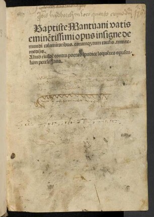 De suorum temporum calamitatibus