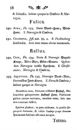 Rallus