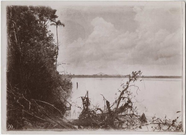 Shoreline scenery on the Rio Araguaia near Sta. Maria