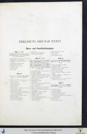 Erklärung der Tab. XXXVI.