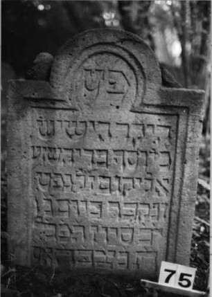Grabstein 75 (Index: 99804192) Material: Sandstein Zustand: Akroterien z. T. abgebroch/leicht eingesun Maße HxBxT: 77x60x12 cm Beschreibung: Stele mit eingezogenem Rundbogen und profiliertem Rand Symbolik: Seitenakroterien: Grabstein 75