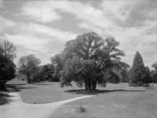 Landschaftsgarten