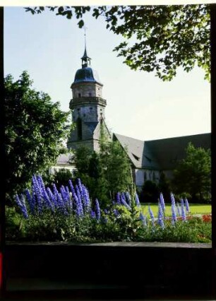 Freudenstadt: Stiftskirche, östlicher Turm, Vordergrund blaue Blumen