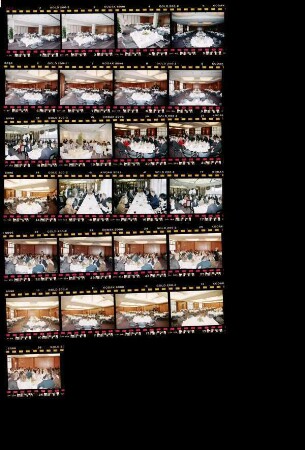 Hotel Belvedere, Weimar, 1992