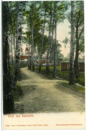 Lublinitz. Waldweg