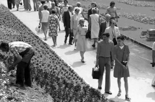 25. Jubiläumstagung 1975 Medizin; Spaziergang über die Insel: Gruppe von Spaziergängern, hinter Frau in rotem Kleid: Thomas H. Weller, dahinter Sir Frank M. Burnet