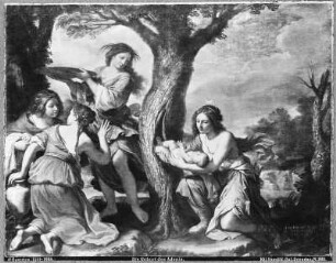 Die Geburt des Adonis aus dem Myrrhenbaum : Giovanni Francesco Barbieri, genannt Guercino (1591-1666). Die Geburt des Adonis aus dem Myrrhenbaum. Leinwand, 2,10 x 2,70 m. Gemäldegalerie Alte Meister 365, Kriegsverlust