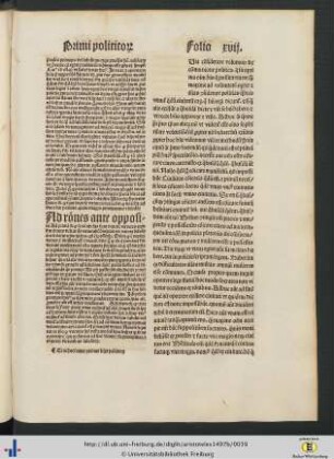 Questiones secundi libri politicorum.