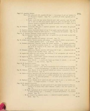 Gammarini del Golfo di Napoli : monografia, [2]. Atlas
