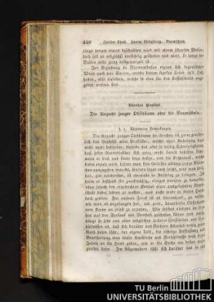 Viertes Kapitel. Die Anzucht junger Obstbäume oder die Baumschule.