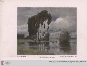 37: Julius Bergmann