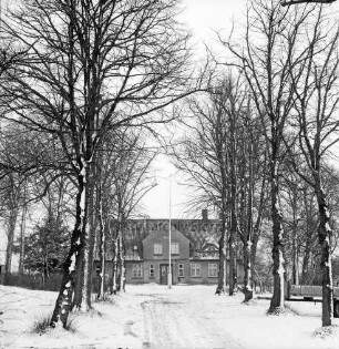 Bauerngehöft Peter Hinselmann: Zufahrtsallee: Winter