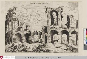 Colossaei. Ro. Alius Prospectus.