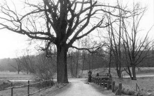 Göda-Coblenz. Fehrmann-Mühle