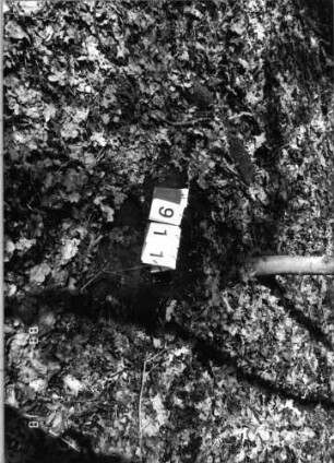Grabstein 911 (Index: 99902413) Material: Sandstein Zustand: Stein umgestürzt, keine Inschrift mehr erkennbar: Grabstein 911