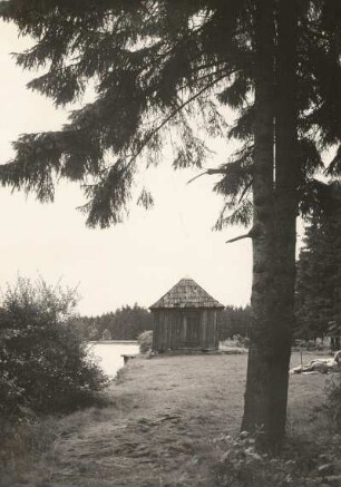 Westerzgebirge. Filzteich bei Schneeberg. Uferlandschaft