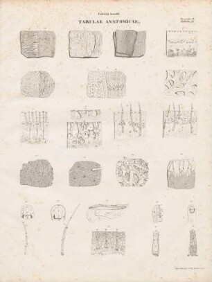 Tabula Unidecima (Lineartafel)