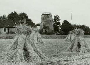 Turmwindmühle bei Rähnitz. Mühlenstumpf. Ansicht von Süden über ein Feld mit Kornpuppen