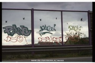 PANe