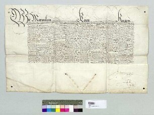 Kaiser Maximilian II. belehnt Bischof Veit von Regensburg mit den Regalien des Hochstifts. S: A