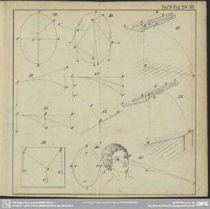 Taf. IV Fig. 29-39