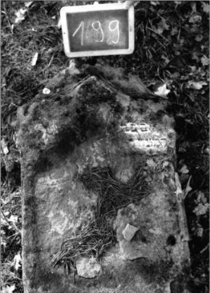 Grabstein 199 (Index: 100090128) Material: Sandstein Zustand: beschäd/abgeblätt/fast völliger Textverl Maße HxBxT: 95x50x12 cm Beschreibung: Stele, giebelartiger Abschluß: Grabstein 199