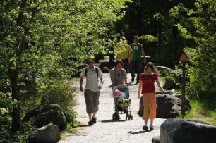 Wanderer bei Thale : Waldspaziergänger beim Hexentanzplatz. Aufgenommen im Mai 2008