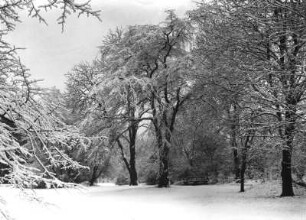 Schönefeld-Abtnaundorf. Schlosspark im Winter