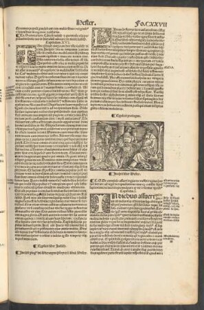 Incipit liber Hester.